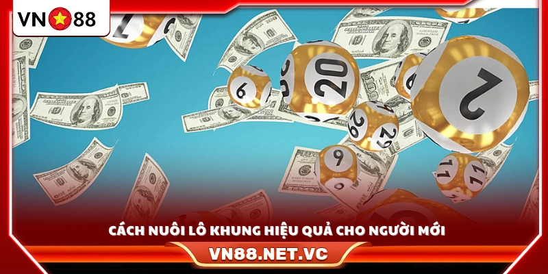 Hướng dẫn cách nuôi lô khung hiệu quả 