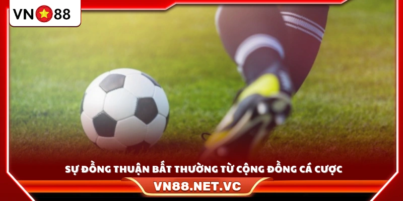 Sự đồng thuận quá cao trong cộng đồng cược thủ 