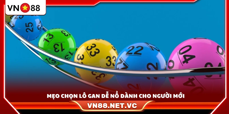 Bí kíp lựa chọn lô gan có khả năng về cao cho người mới 