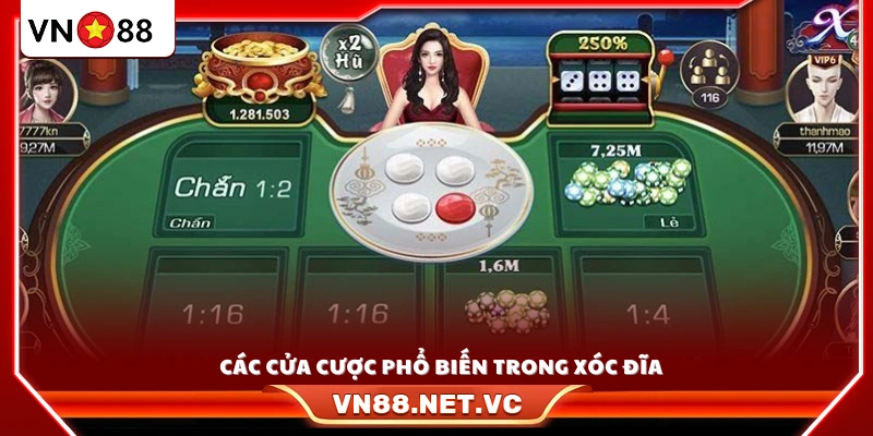 Những loại cửa cược thường gặp và dễ thắng